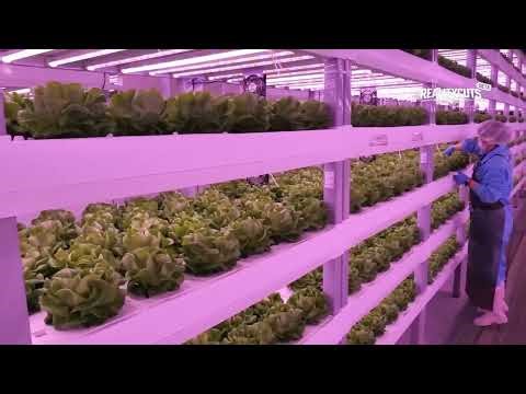 Modern Agriculture: Tech Feeding 8 Billion Efficiently