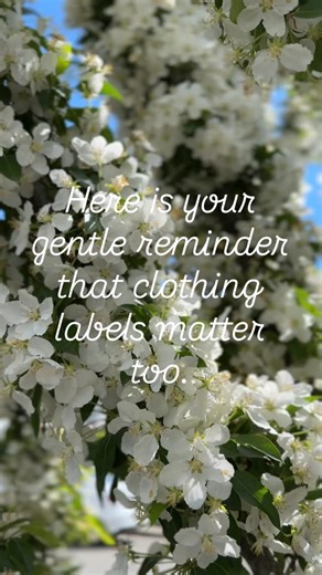 Carrie Taylor Shea | Conscious Consumer | Ethical Brand Advocate on Instagram: "If you’re buying activewear, the fabric is not optional information. Some of this stuff traps bacteria, sheds microplastics, and is loaded with chemical treatments. 🚫 Hard pass on: • Virgin polyester • Virgin nylon (polyamide) • Conventional (non-organic) cotton • “Anti-odor” or silver-coated fabrics • Cheap spandex/elastane blends You don’t need to be extreme. You do need to stop letting marketing gaslight you. I a
