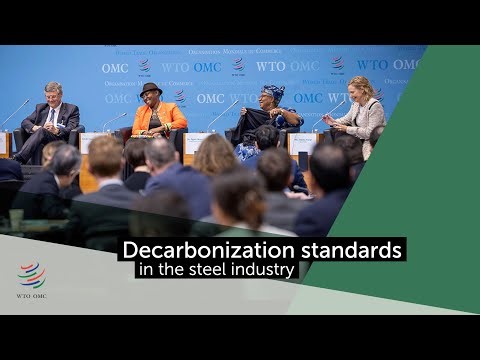 Decarbonization standards in the steel industry