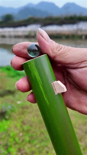 DIY Bamboo Launcher Primitive Bamboo Craft Balloon Test #PrimitiveCraft #Satisfying #sanodi