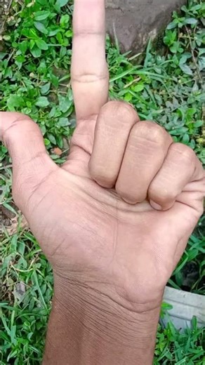 Dancing Cockroach 🐞#jwildlifetv