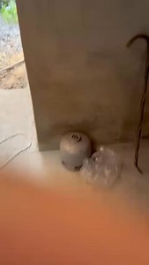 1.6M views · 24K reactions |  VÍDEO  Veja o momento em que os policiais e moradores localizaram a menina Rayane na casa próxima à praça | Cidreira RS | Facebook