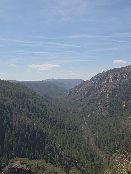 #croodles #letmein #trend #funny | can someone let me in please ethan