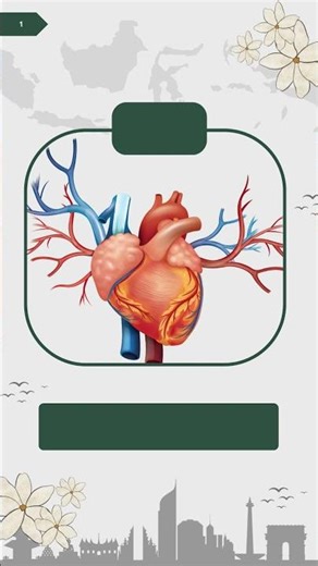 Human Heart Function Explained in 15 Seconds