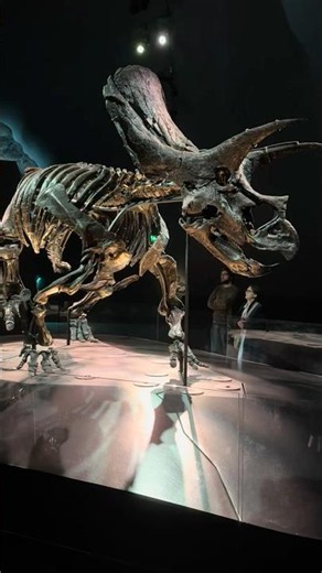 Visit Melbourne Museum