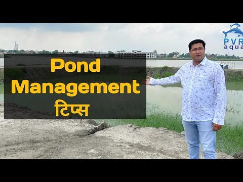 Pond Management Tips for Successful Fish Farming | PvrAqua