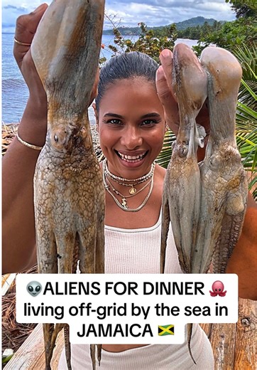 POV: You live off-grid by the sea in Jamaica 🇯🇲. Have you ever eaten octopus 🐙 like this? #jamaica #jamaicantiktok🇯🇲viral #jamaicantiktok #offgrid
