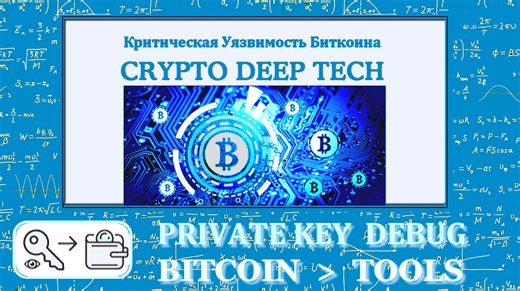 Private key Debug: Incorrect generation of private keys, system vulnerabilities and errors in calculating the order of the elliptic curve secp256k1 threats to the Bitcoin ecosystem