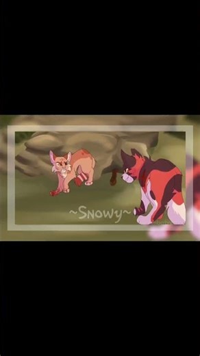 TW - Mapleshade edit - might repost with text later #warriorcats #edit