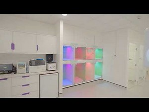 Creature Comforts Vets - Putney Clinic