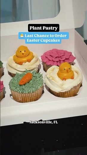 Vegan Easter Cupcakes Jacksonville FL - Last Day to Order 🐣 #eastercupcakes #easter