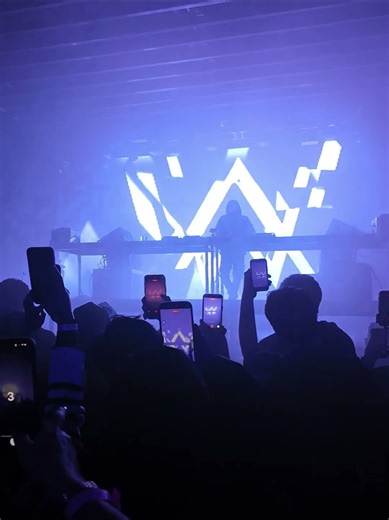 Alan Walker - Unity - Live at Echostage