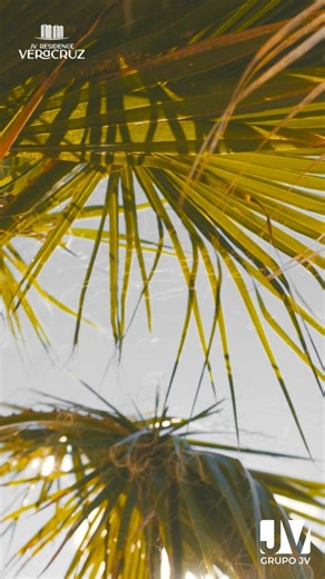 🌴 Vivir aquí es elegir un estilo de vida donde todo sucede frente al mar. JV Residence te ofrece lo mejor de Boca del Río: lujo, comodidad y una experiencia costera incomparable. Últimos espacios disponibles. ✨ Vive lo que mereces. 📞 229 901 1114 #BocaDelRío #VeracruzLuxuryLiving #OceanViewHomes | JV Residence