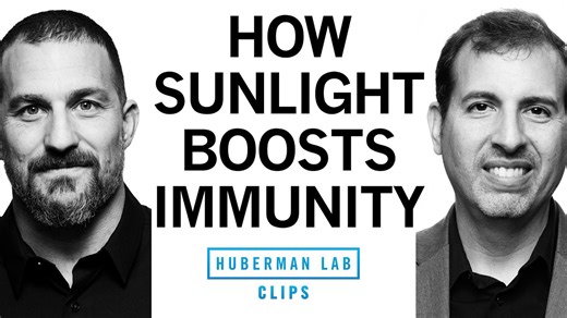 How & When to Get Daily Sunlight to Boost Immunity｜Huberman Lab