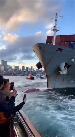 A gigantic ship begins sinking in a chaotic ocean scene as many boats rush around and people record the dramatic moment. The massive vessel tilts heavily while waves crash against it and water floods the deck. Crowds on nearby boats capture the intense moment as the entire ship slowly disappears beneath the ocean, leaving waves and floating debris behind. ultra realistic cinematic scene. no bg music no cartonic