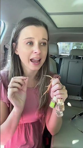 Best Car Air Fresheners That Actually Work! #carairfreshener