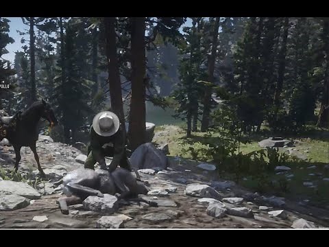 How to find the Sierra Nevada Bighorn Ram and Sheep for Naturalist in Red Dead Redemption 2 Online