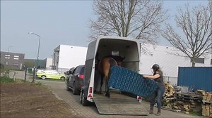 Faylynn vindt ales achter zich spannend. | Natural HorseMo