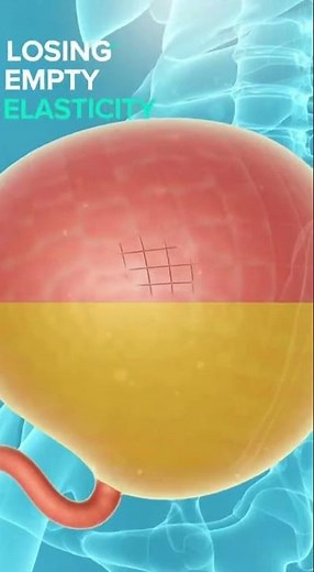 What REALLY Happens to Your Bladder with an Enlarged Prostate