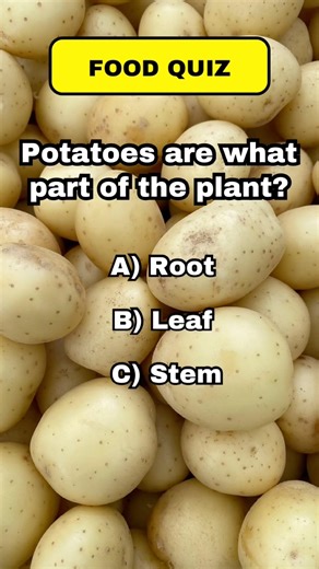 Food Quiz🥔🥔🥔