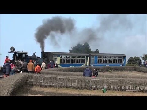 ダージリン・ヒマラヤ鉄道 Darjeeling Himalayan Railway toy train