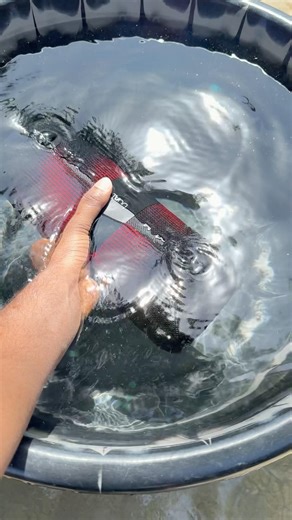 Boat bass boosted vs water testing🔉🔊