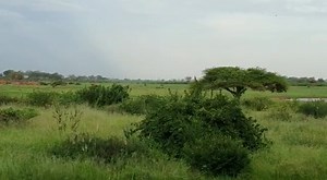 27 reactions | At Voi Wildlife Lodge our aim is to ensure that our guests are comfortable during their stay. We understand that accessibility is important to our guests with special needs. We have rooms that are wheelchair accessible, with accessible toilet and shower seat. | Voi Wildlife Lodge | Facebook