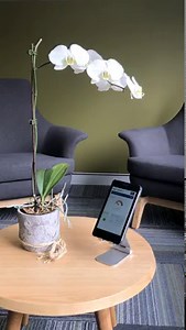 Did you know that SMA inverters with WiFi have a digital screen that is available from any smartphone, tablet or laptop? Save your old smartphone from the scrap heap and recycle it by turning it into your smart inverter screen. Connect it to a power supply, set the screen so that it “never” goes to sleep, and you’re done: a permanent inverter screen in your kitchen or living room! 😊 | SMA Solar