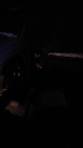 24 reactions · 8 comments | You fine folks asked for a Vortec 4200 Cold Start video. I wasn't able to be at the shop tonight, but my friend and good-ole'-boy mechanic stopped by to help me out. | Atlas Industries | Facebook