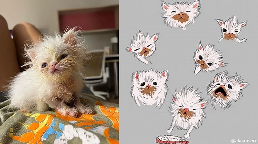 Wisp The Kitten | Know Your Meme