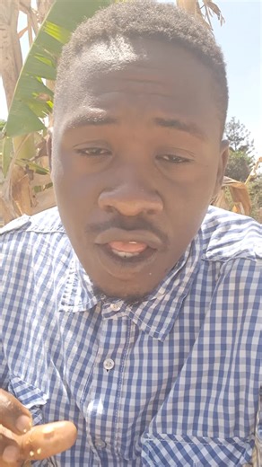 Musolini (@musolini4_2_0)’s videos with original sound - Musolini