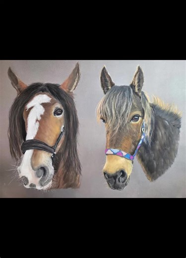 The beautiful Toby and Mercy 💕 #horselife #horsetiktok #petportraits #art #horse
