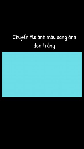 Chuyển File Ảnh Màu Sang Ảnh Đen Trắng: Cách In Trắng Đen và Lấy Hình Ảnh Miễn Phí