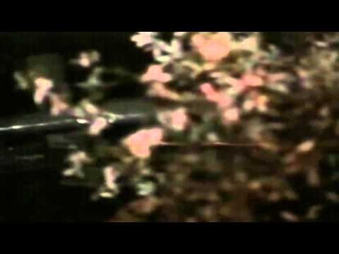 Vic Morrows Twilight Zone Accident