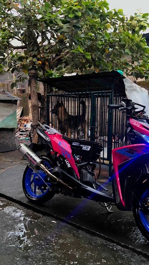 Idle Only 🥰 | Project M3