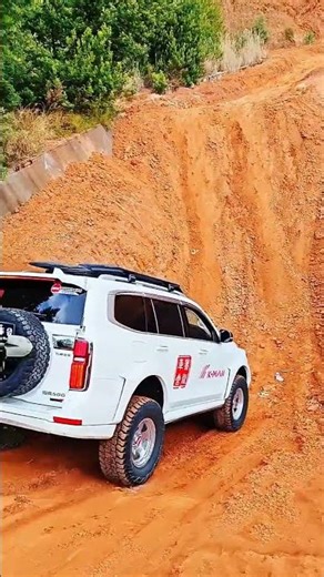 GWM Tank 500 participates in overcoming challenging terrain #offroad #car #tank500