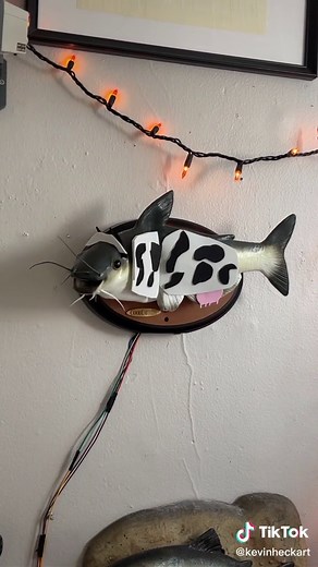 Doja Cat Moo Song - Bitch I'm a Cow Music Video