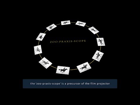 The Zoo Praxis Scope