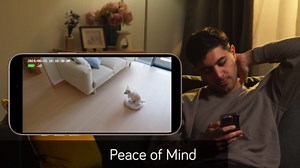 Amazon.com : xmartO 4MP QHD WiFi6 Dual-Band Wireless Solar-Powered Indoor & Outdoor Home Security Camera System (Long Range WiFi, Free 64GB Loop Storage, No Monthly Fee, 2-CAM Kit) : Electronics