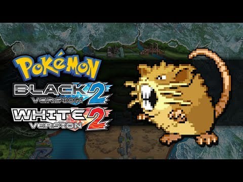 Pokemon Black 2 and White 2 | How To Get Raticate