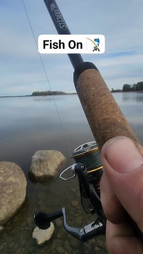 I got a chance to do some fishing today on Graham Lake in Ellsworth Maine. Nice to be able to still catch some fishing with it almost being the end of November. It was a nice Pickerel 🎣 #fish #fishing #fallfishing #pickerel | Wayne Bishko