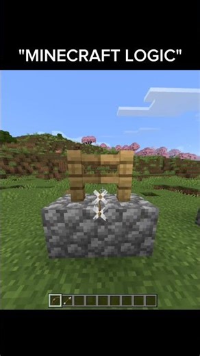 Minecraft Is NOT a Logical Game