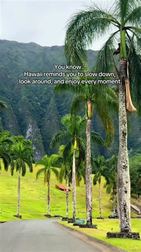 13K views · 734 reactions | You’ve ever felt this on a trip?  #hawaii #honolulu #oahu #slowdown #hawaiilife | I Love Hawaii | Facebook