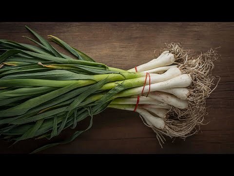 How to Cook with Green Garlic