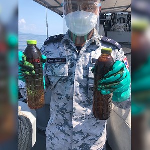 6K views · 116 reactions | Thailand's navy and pollution experts battled to clear up an oil spill before it reaches pristine holiday beaches, after an undersea pipeline leaked up to 128 tons (160,000 liters) of crude. | DW News | Facebook