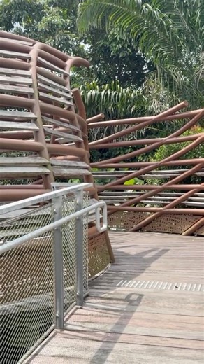Mandai Boardwalk - Singapore 万态步行道 - 新加坡 #travel #mandai #boardwalk