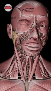 535K views · 12K reactions | Unlock the Power of Movement with Our...