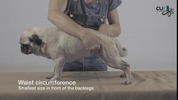 Curli Vest Air-Mesh Harness for Dog, X-Large, Tan