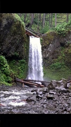 Wiesendanger Falls | 4K Nature Ambience | Columbia River Gorge Oregon | PNW Relaxation Nature Sounds