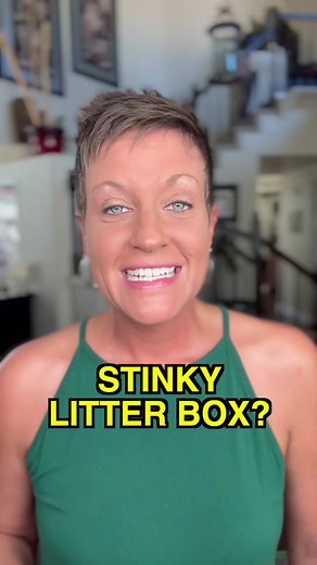 Cat Litter Box Tips: Handling the Smell with Ease